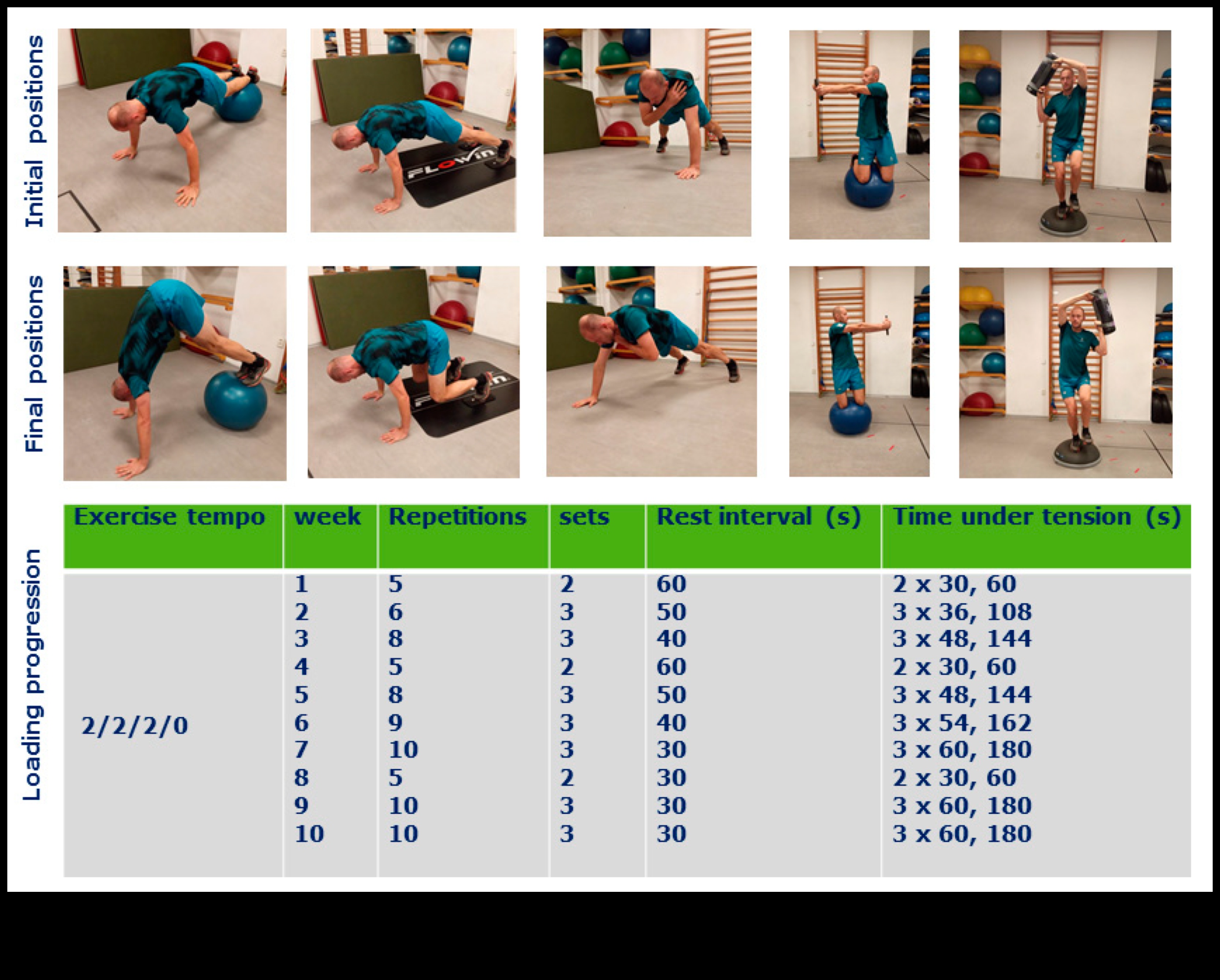 Dimensiuni de bază dinamice: explorarea noilor fațete ale fitnessului