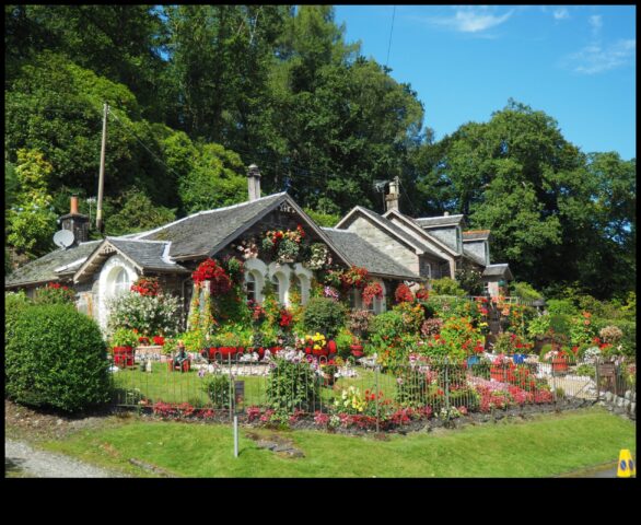 Garden Harmony Obținerea frumuseții și eficienței în întreținere