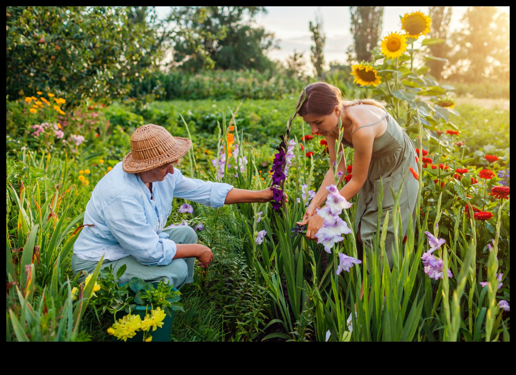 Înțelepciunea înflorită: cultivarea minților prin horticultură