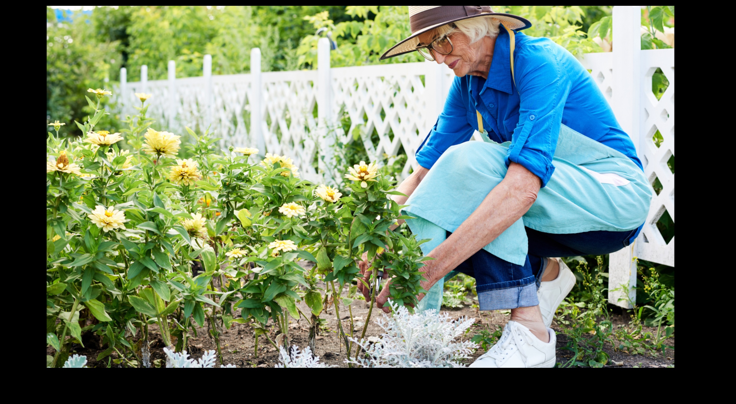 Înțelepciunea înflorită: cultivarea minților prin horticultură