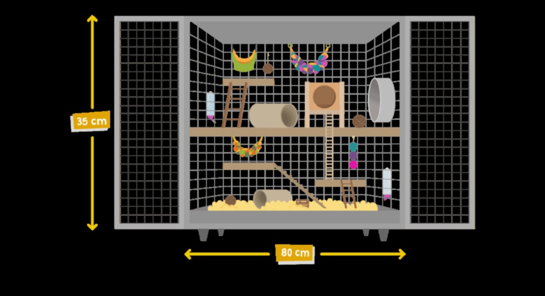 Hamster Housing Essentials: Selectarea cuștii și a așternutului potrivit