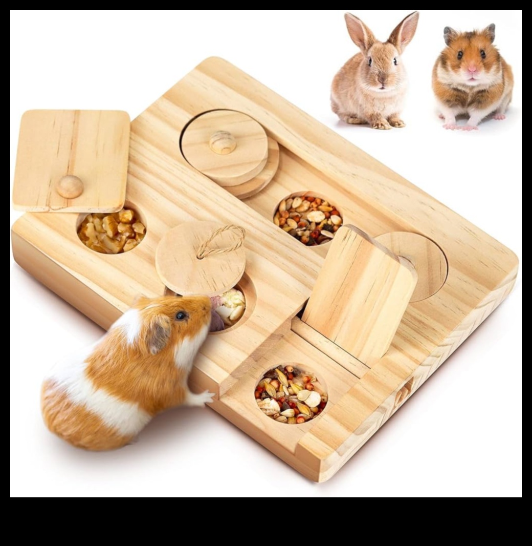 Idei de îmbogățire a hamsterului au continuat: alimentatoare și jucării de puzzle DIY