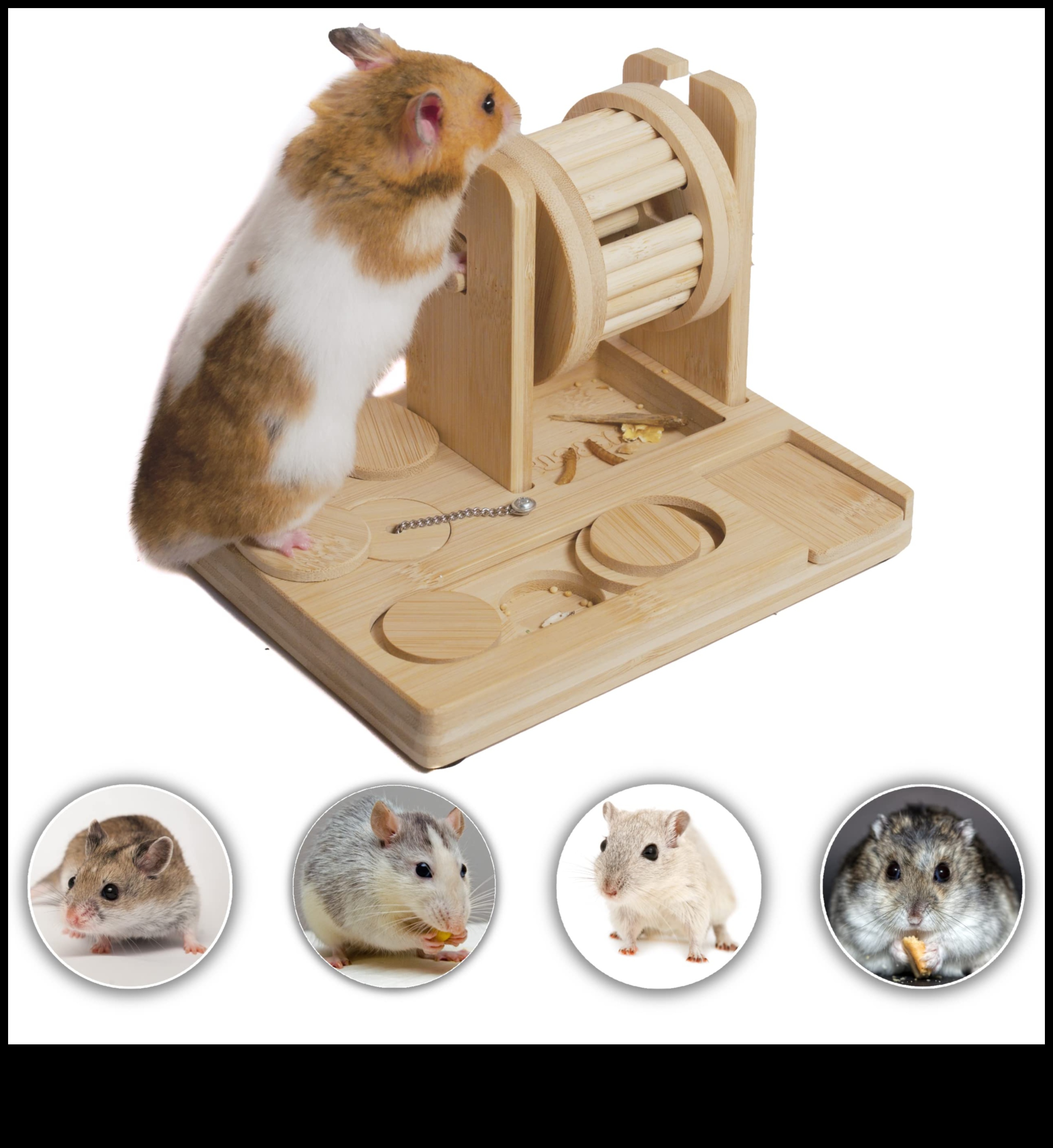 Idei de îmbogățire a hamsterului au continuat: alimentatoare și jucării de puzzle DIY