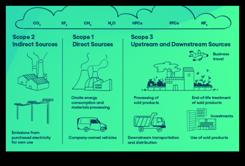 Amprente comerciale ale flotei: explorarea impactului vehiculelor asupra operațiunilor întreprinderilor