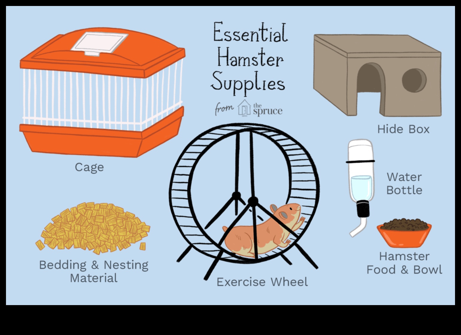 Hamster Housing Essentials: Selectarea cuștii și a așternutului potrivit