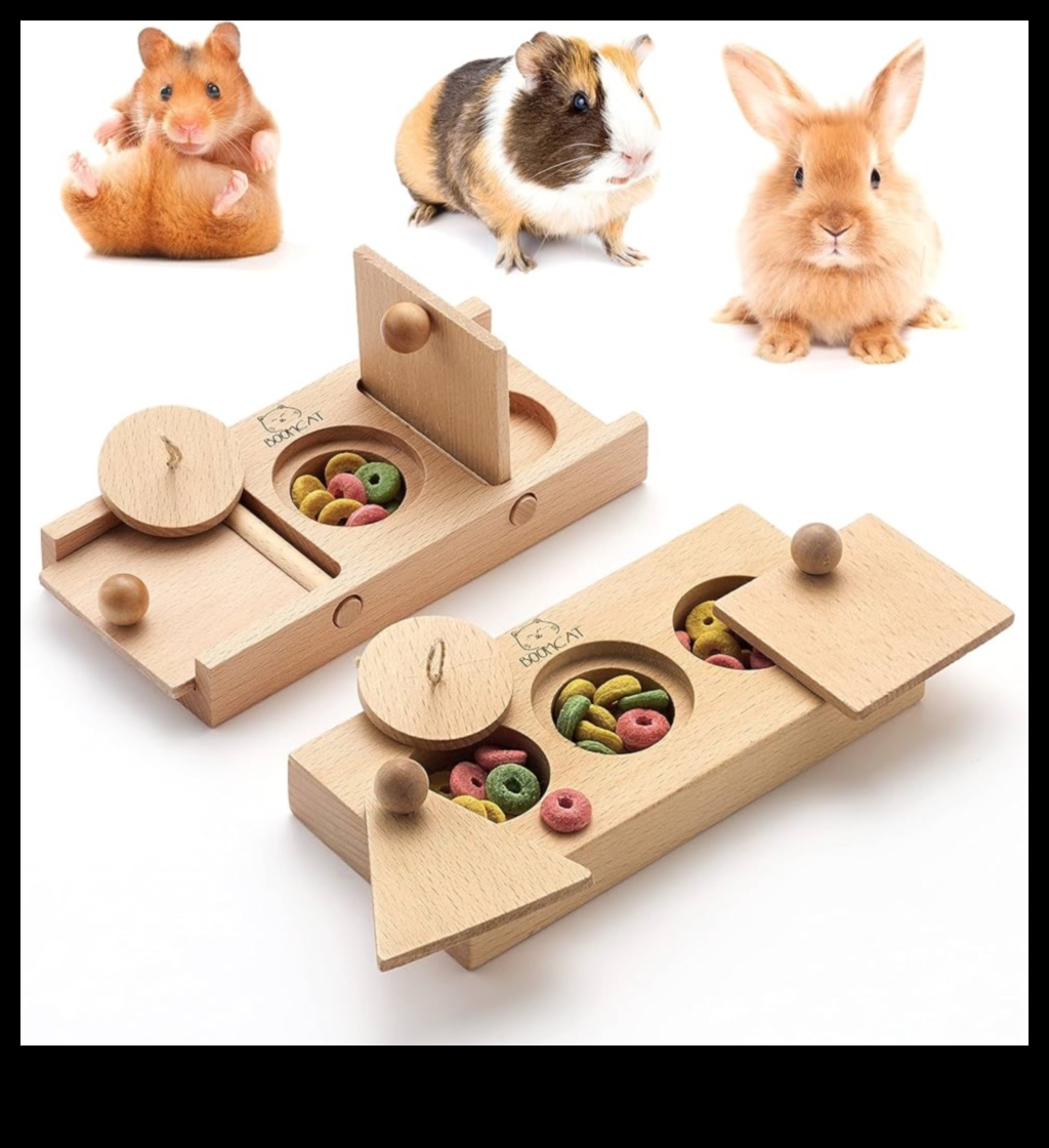 Idei de îmbogățire a hamsterului au continuat: alimentatoare și jucării de puzzle DIY